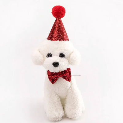 Party Hat & Bow Tie Set for Small Dogs 4 COLOURS Chihuahua Clothes and Accessories at My Chi and Me
