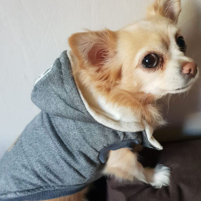 Super Soft Padded Chihuahua or Small Dog Coat Grey 5 Sizes - My Chi and Me