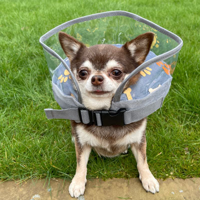 Comfy Cone Post Operative Soft Protective Surgery Collar with Cone