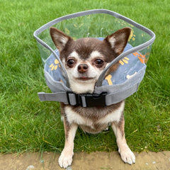 Comfy Cone Post Operative Soft Protective Surgery Collar with Cone