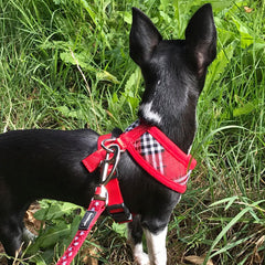 Red Checked Tartan Harness by Urban Pup - My Chi and Me