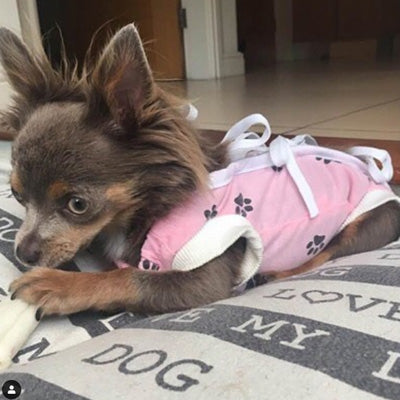 Surgery Suits for Small Dogs Post Surgery Wound Protection Pink Paw Print - My Chi and Me