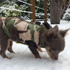 Premium Forest Camouflage Water Resistant Padded Gilet Style Dog Coat Chihuahua Clothes and Accessories at My Chi and Me