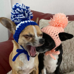 Small Dog Hand Knitted Chihuahua Hat with Pom Pom Boys Chihuahua Clothes and Accessories at My Chi and Me