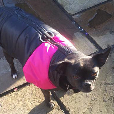 Gilet Style Small Dog Coat Black And Pink - My Chi and Me