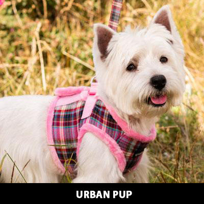 Urban Pup Highlands Heather and Bracken Dog Lead