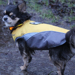 Small Dog Waterproof Reflective Adjustable Velcro Coat Yellow and Grey - My Chi and Me