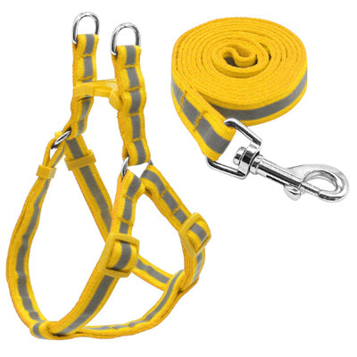 Reflective Chihuahua Harness and Lead Yellow Strong Webbing Chihuahua Clothes and Accessories at My Chi and Me