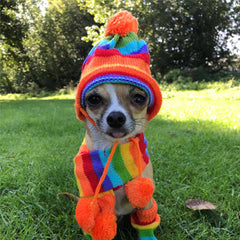 Chihuahua Hat Scarf and Leg Warmer Set Rainbow Stripes Chihuahua Clothes and Accessories at My Chi and Me