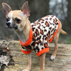 Chihuahua Puppy Fleece Leopard Print With Orange - 4 SIZES Chihuahua Clothes and Accessories at My Chi and Me