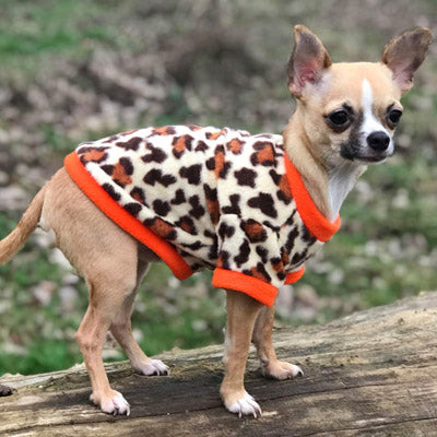 Chihuahua Puppy Fleece Leopard Print With Orange - 4 SIZES Chihuahua Clothes and Accessories at My Chi and Me
