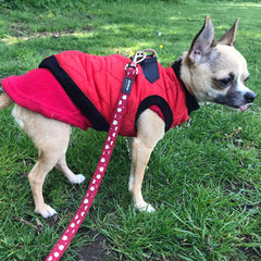Water Resistant Padded Quilted Red Dog Gilet Chihuahua Clothes and Accessories at My Chi and Me